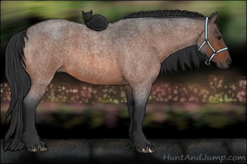 Horse Color:Bay Roan