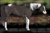 Horse Color:Smoky Black Splash Tobiano 
