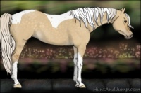 Horse Color:Silver Smoky Grullo Tobiano 