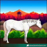 Horse Color:Sable Champagne Pearl Dun Appaloosa