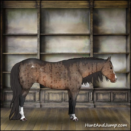 Horse Color:Brown Dun Sabino Varnish Brindle