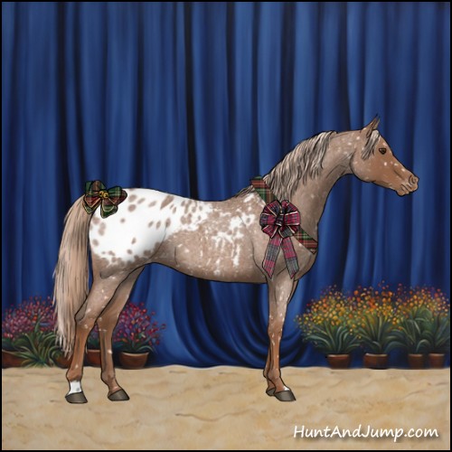 Horse Color:Red Roan Blanket