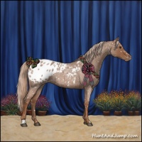 Horse Color:Red Roan Blanket 