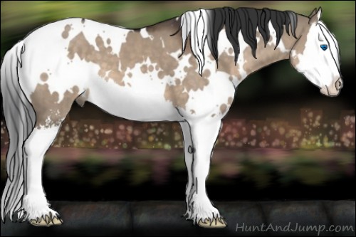 Horse Color:White Spotted Brown Dun Sabino Splash 