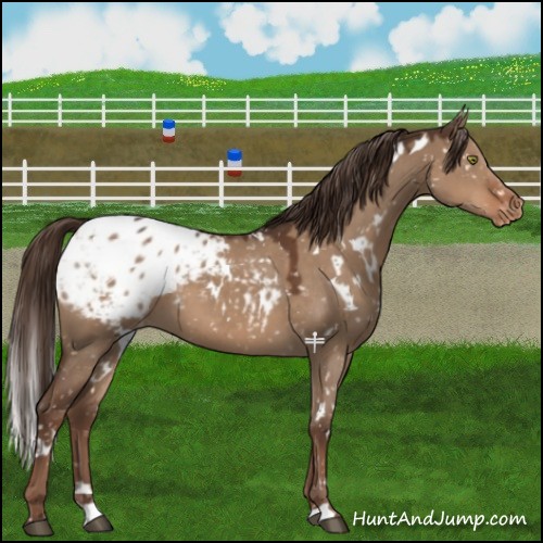 Horse Color:White Spotted Liver Red Dun Blanket 