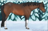 Horse Color:Brown 