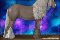 Horse Color:Silver Black 