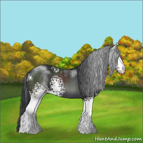 Horse Color:White Spotted Black Sabino 