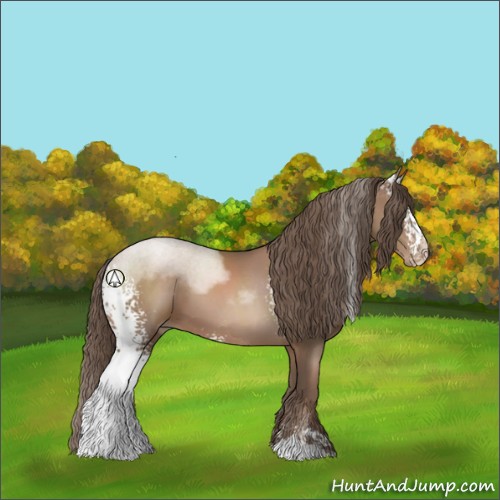 Horse Color:White Spotted Black Pearl Sabino