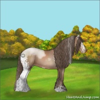 Horse Color:White Spotted Black Pearl Sabino 