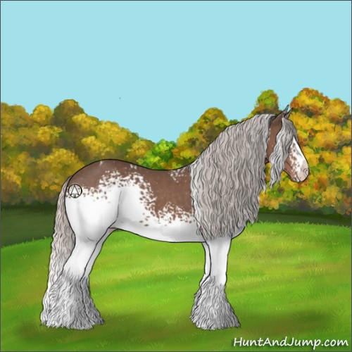 Horse Color:White Spotted Silver Black
