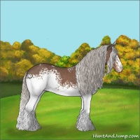 Horse Color:White Spotted Silver Black 