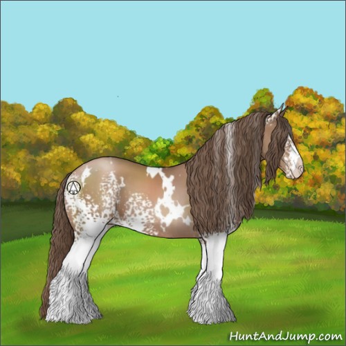 Horse Color:White Spotted Black Pearl