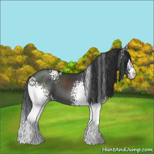 Horse Color:White Spotted Black 