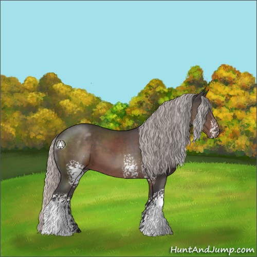 Horse Color:White Spotted Silver Black