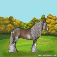 Horse Color:White Spotted Silver Black 