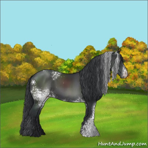Horse Color:White Spotted Black Sabino 