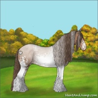 Horse Color:White Spotted Black Pearl Sabino 