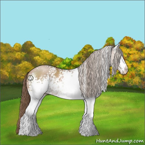 Horse Color:White Spotted Black Pearl