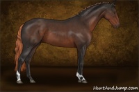 Horse Color:Liver Chestnut Tobiano