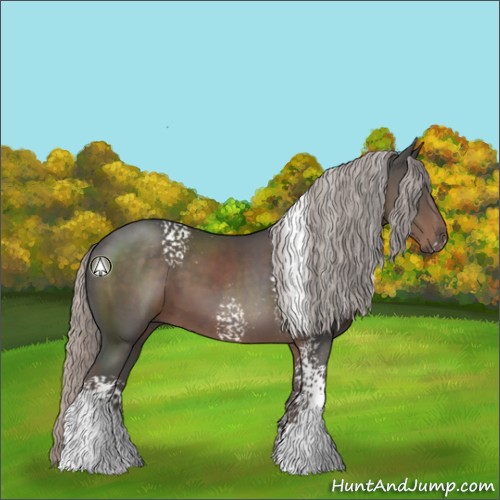 Horse Color:White Spotted Silver Black Rabicano 