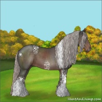 Horse Color:White Spotted Silver Black Rabicano 
