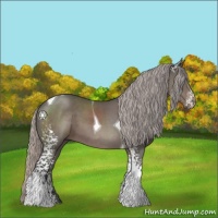 Horse Color:White Spotted Silver Black Tobiano 