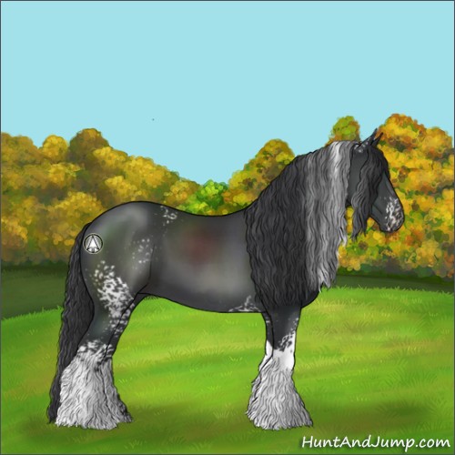 Horse Color:White Spotted Black Tobiano 