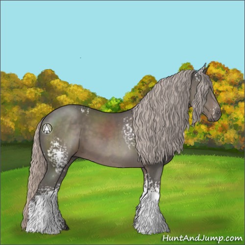 Horse Color:White Spotted Silver Black Rabicano