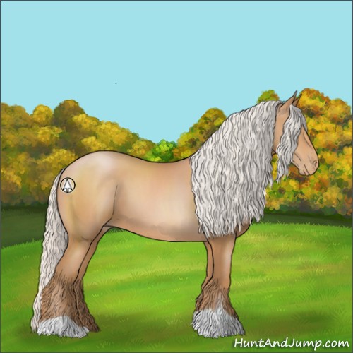 Horse Color:Silver Bay Pearl