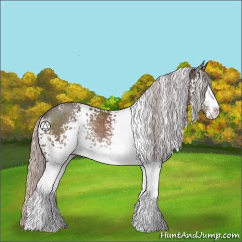Horse Color:White Spotted Silver Black Sabino Rabicano