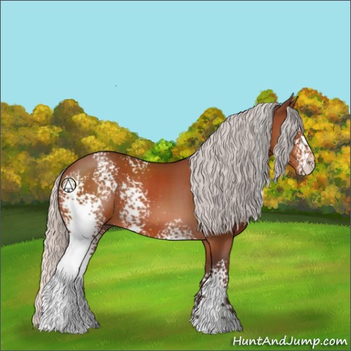 Horse Color:White Spotted Silver Bay Sabino