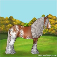Horse Color:White Spotted Silver Bay Sabino 