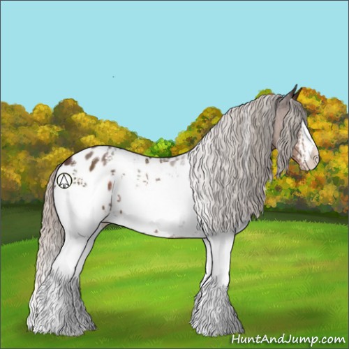Horse Color:White Spotted Silver Brown Appaloosa