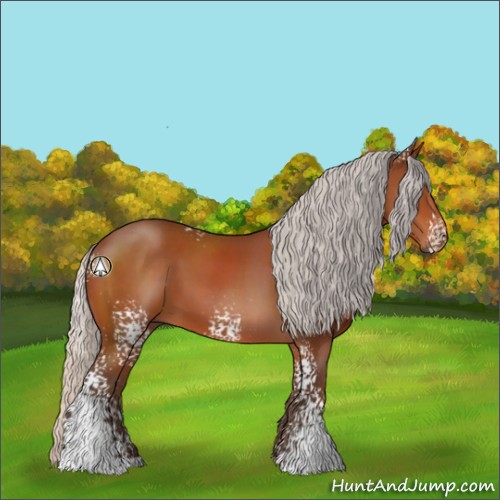 Horse Color:White Spotted Silver Bay Sabino