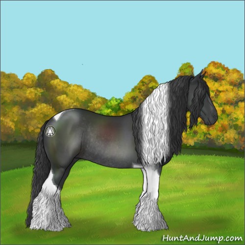 Horse Color:Black Tobiano Rabicano