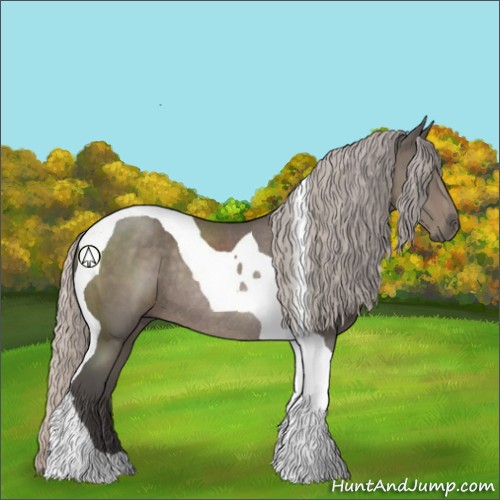 Horse Color:Silver Black Tobiano Rabicano 