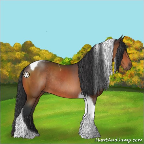 Horse Color:Bay Tobiano Rabicano
