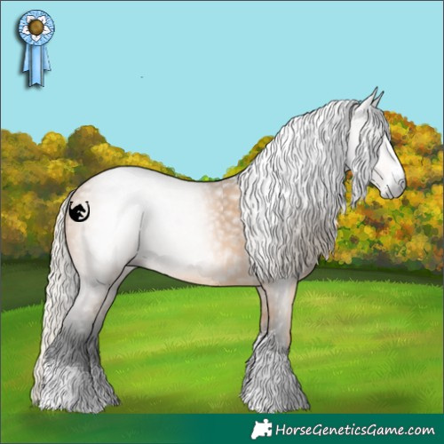 Horse Color:Gray Silver Buckskin Sabino 
