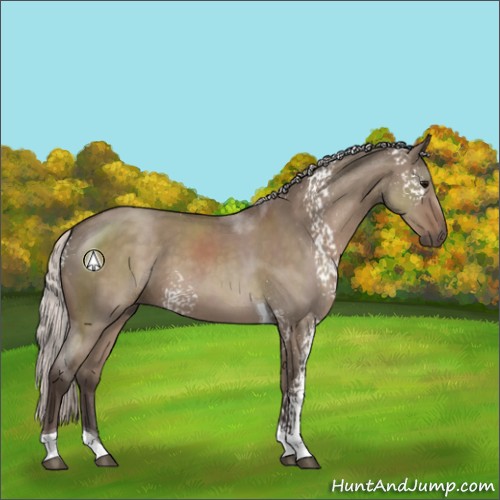 Horse Color:White Spotted Silver Grullo Tobiano 