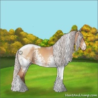 Horse Color:White Spotted Silver Classic Champagne Tobiano Rabicano 