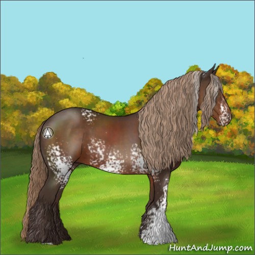 Horse Color:White Spotted Liver Chestnut