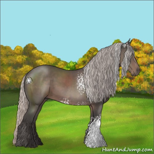 Horse Color:White Spotted Silver Black Rabicano