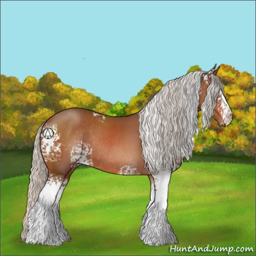 Horse Color:White Spotted Silver Bay Sabino Rabicano 