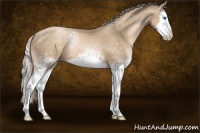 Horse Color:White Spotted Chocolate Palomino Pearl Splash 
