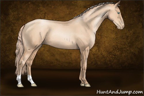 Horse Color:Gold Champagne Pearl 