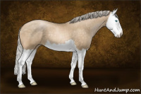 Horse Color:Chocolate Palomino Pearl Splash