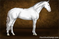 Horse Color:Liver Chestnut Sabino Splash Appaloosa 