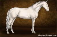 Horse Color:Gold Cream Champagne Pearl 