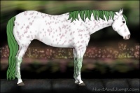 Horse Color:Watercolor Bay Ice Appaloosa 